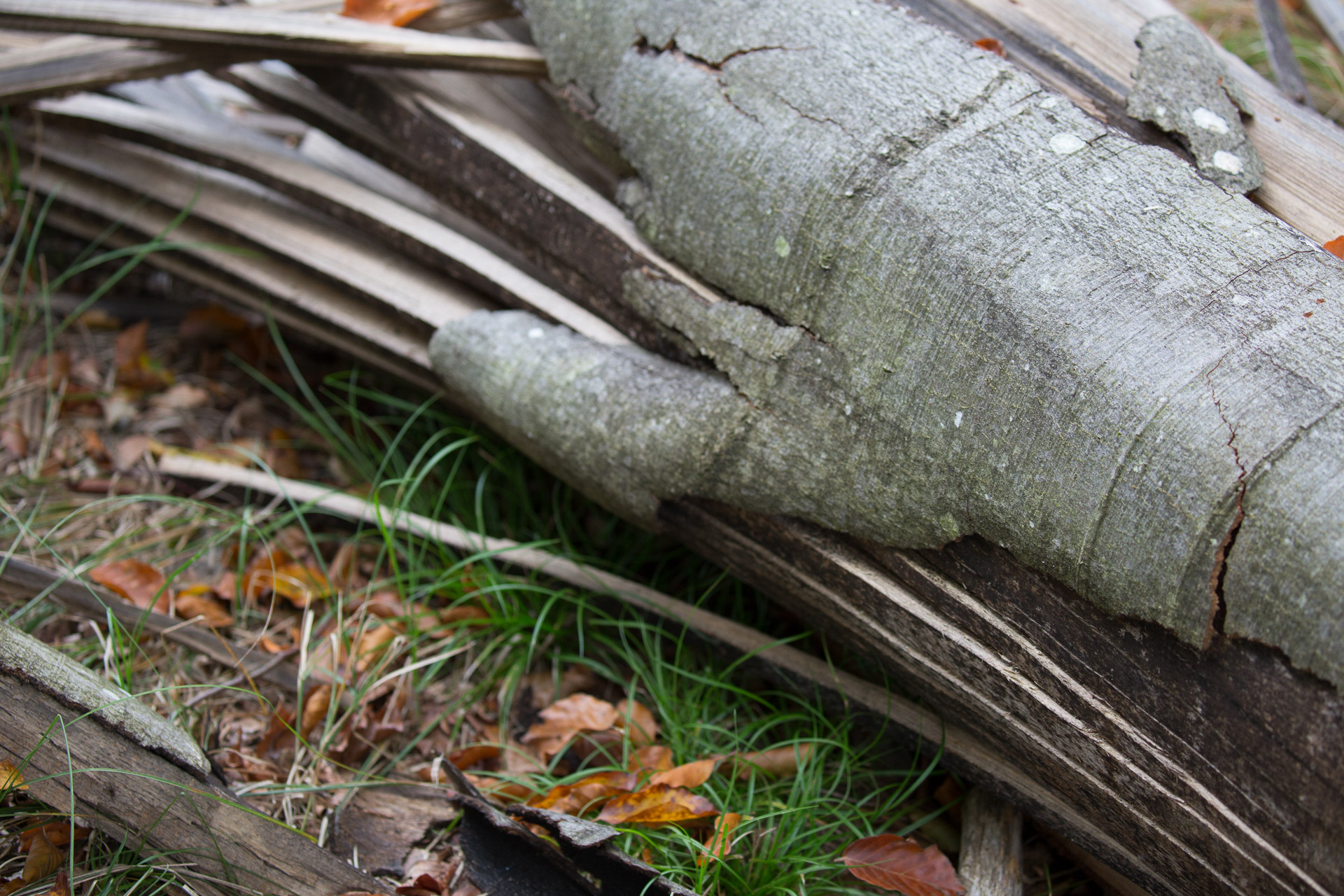 20231014100726 3K6A2189